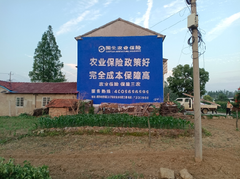 南丰墙体广告的优劣势你知道吗？